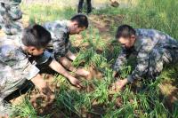 家长该怎样去对待自己处于青春期阶段的孩子