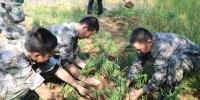 家长该怎样去对待自己处于青春期阶段的孩子